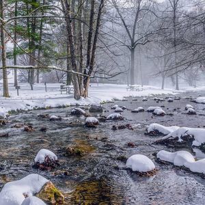 Meet your Posher, Joni